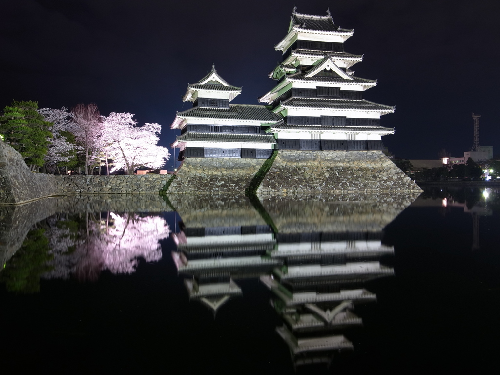 松本城の夜桜