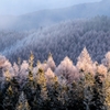 霧氷