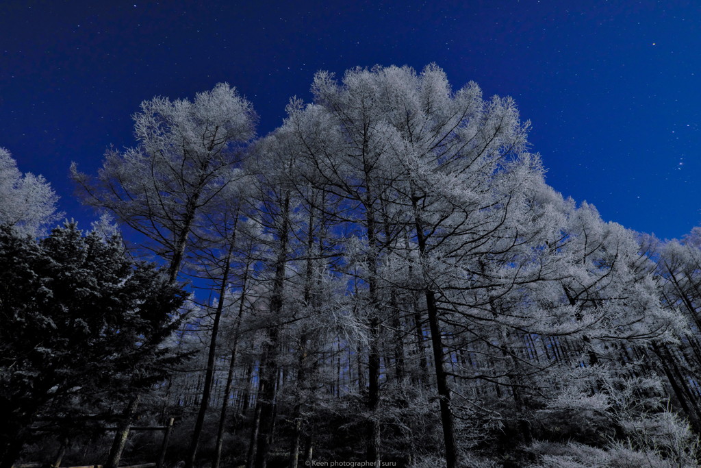 樹氷と星空