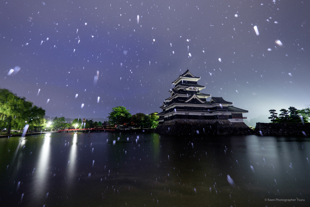 雨の朝