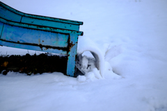 滑った雪