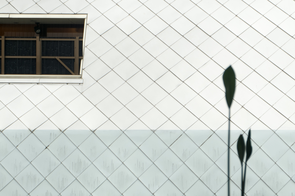 wall