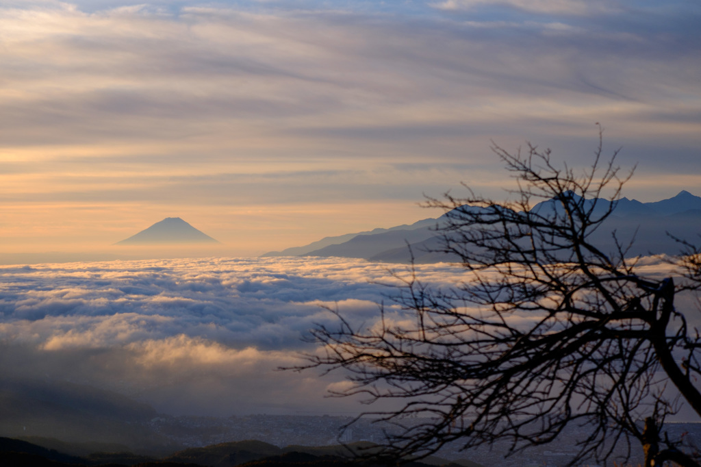 富士山と山頂の木