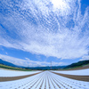 青空と雲と高原野菜畑