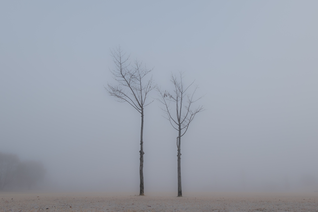 霧の公園3
