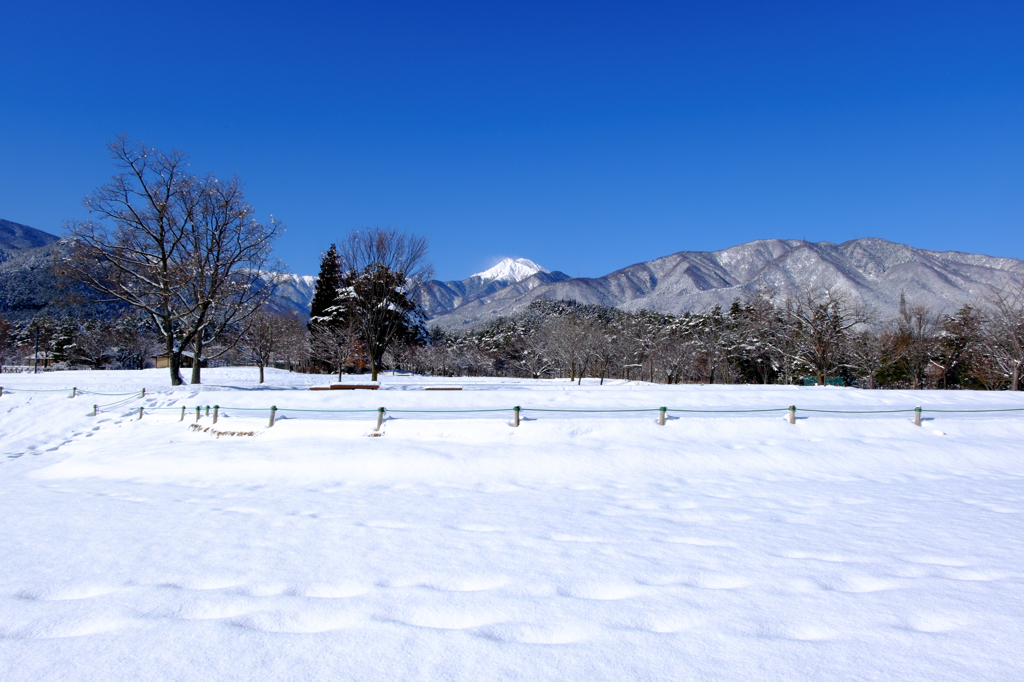 雪の公園