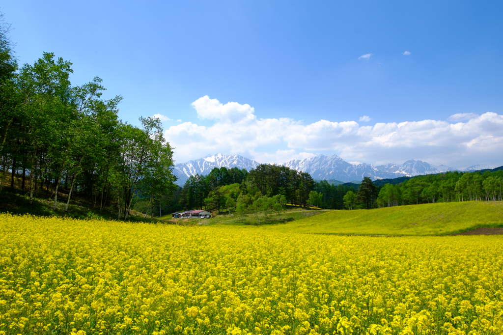 中山高原にて