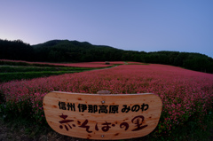 信州みのわ赤そばの里
