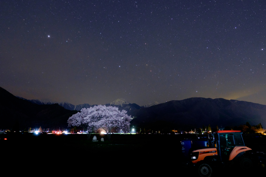 桜咲く、常念道祖神