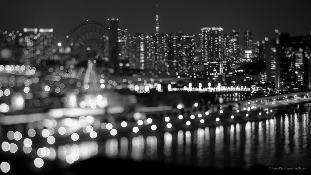 東京夜景BW