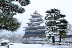 城