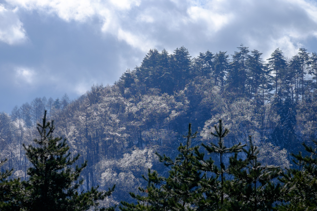 向こうの山は雨氷