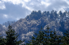 向こうの山は雨氷
