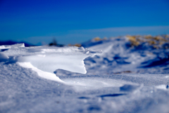 雪の姿