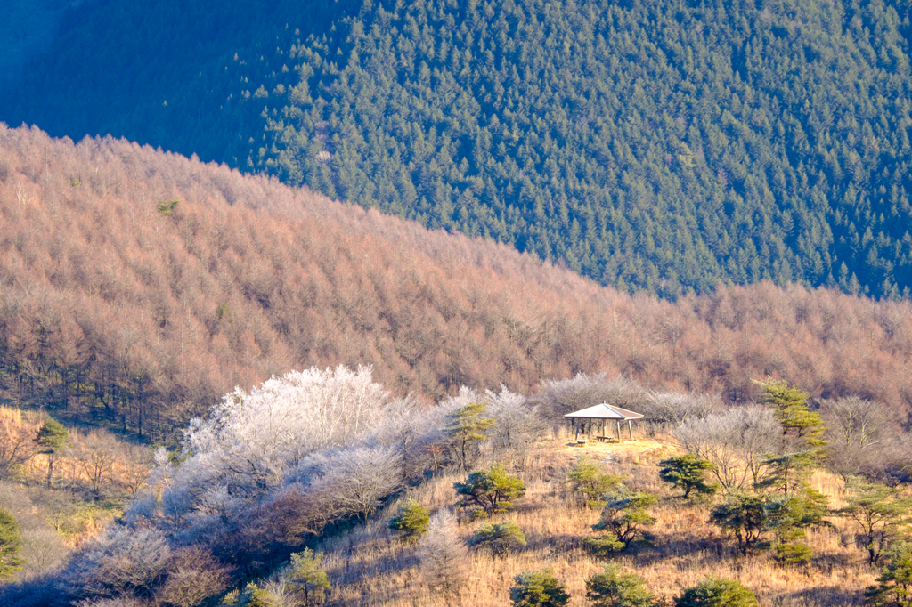 山の表情