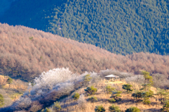 山の表情