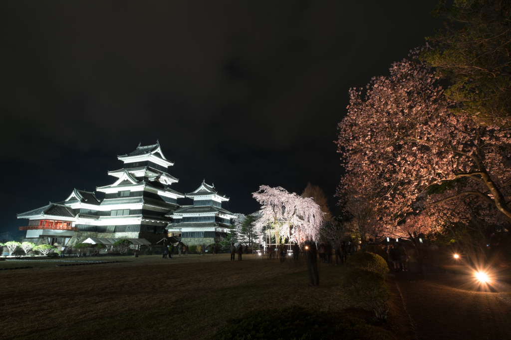 国宝松本城夜桜会