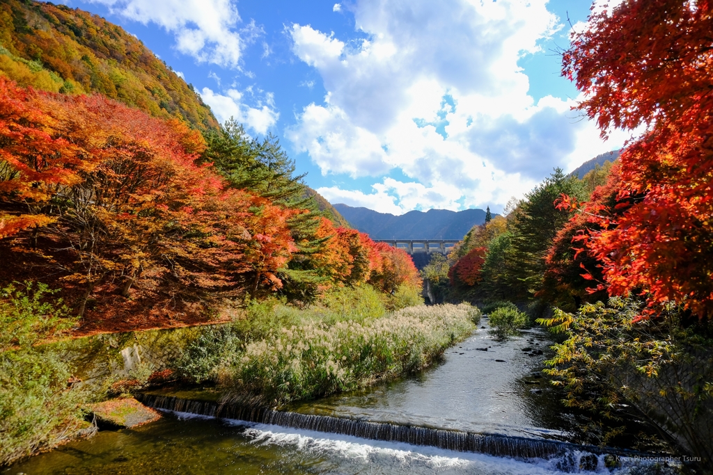親水公園