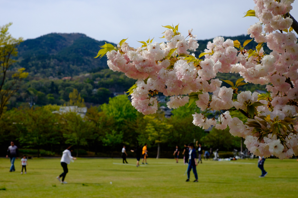 公園