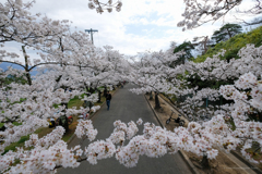 城山公園