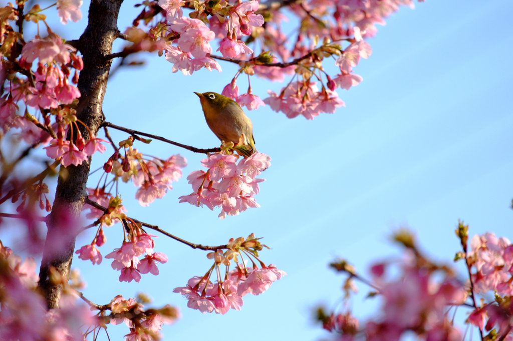 次どれにしよう～