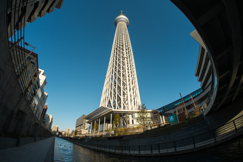 スカイツリーと橋