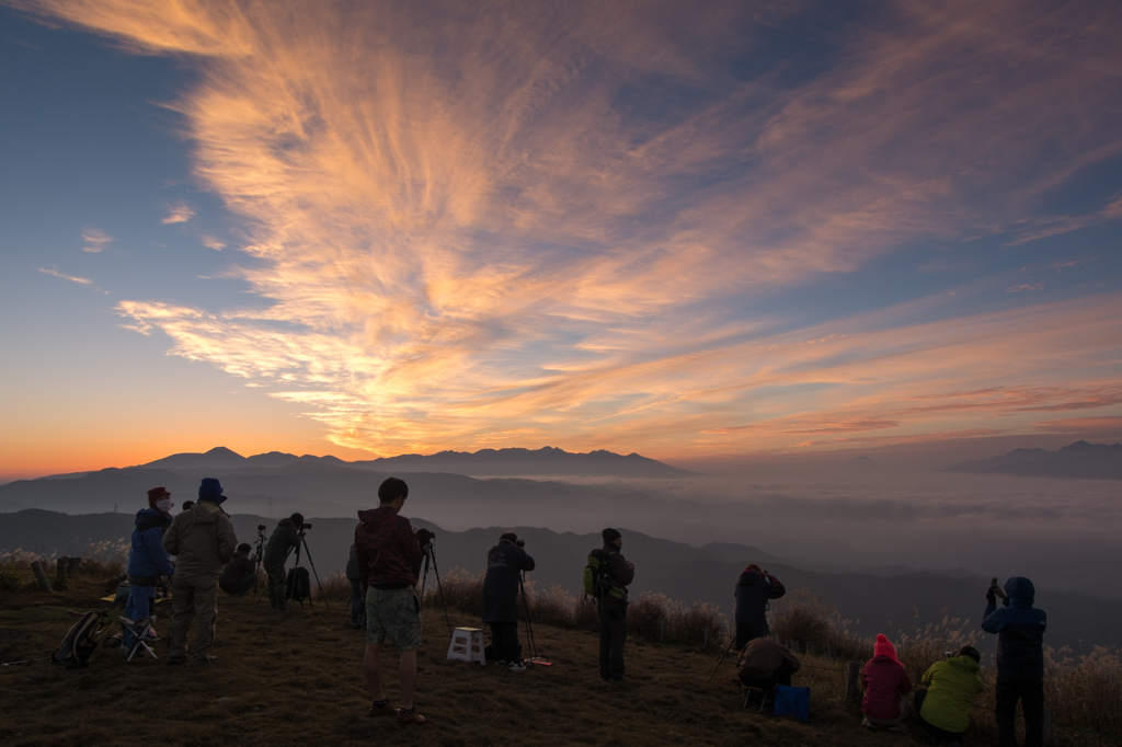 それぞれのスタイルで