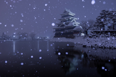 静かに降る雪
