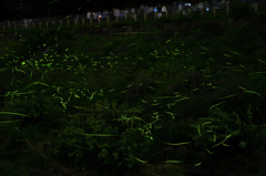 辰野ほたる祭り