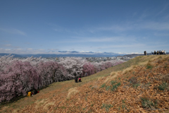 弘法山からの眺め