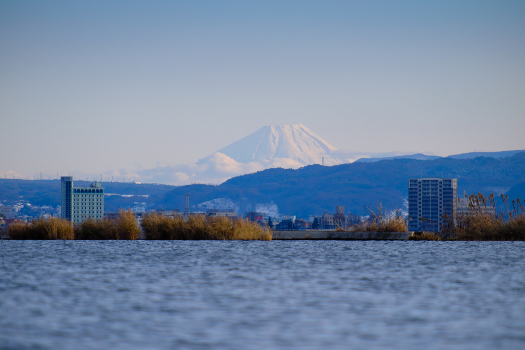 富士山