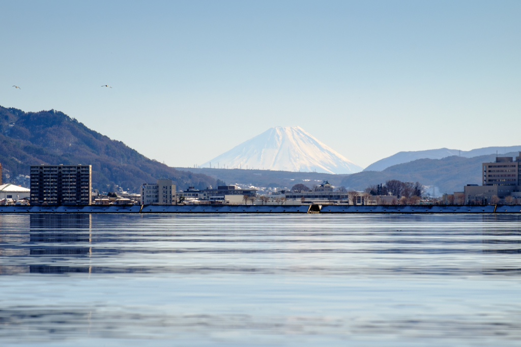 諏訪湖からの富士山 昼 By Tsuru Id 写真共有サイト Photohito