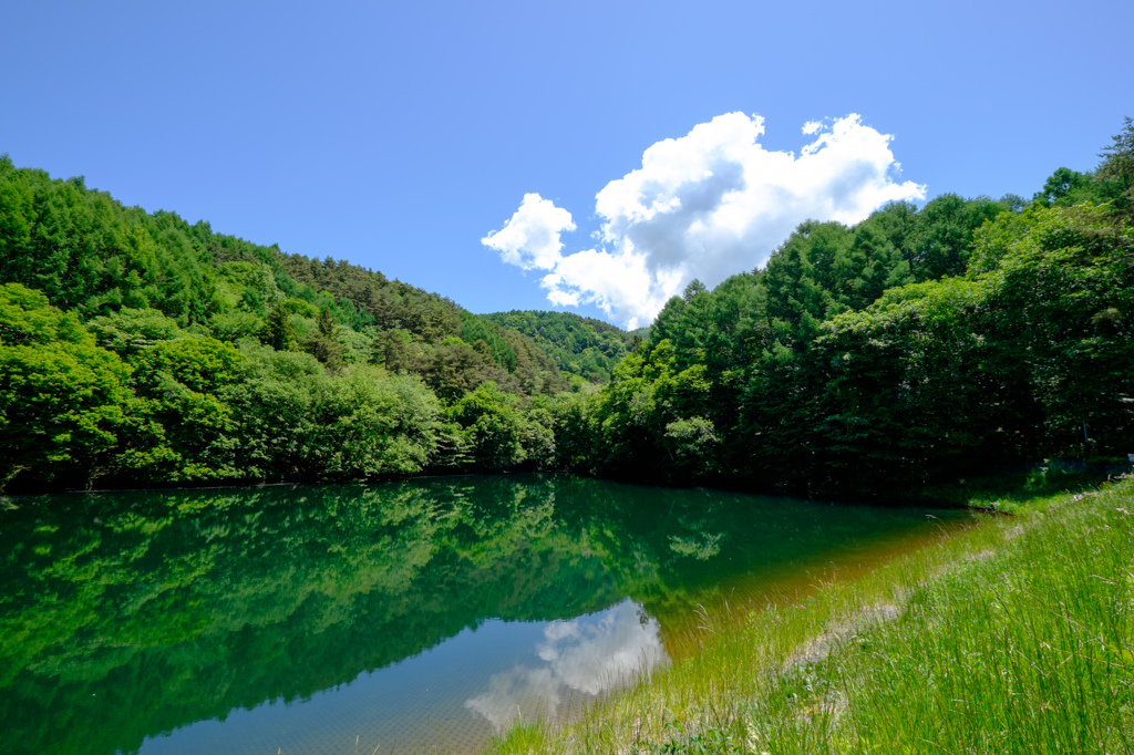 初夏の大沢提