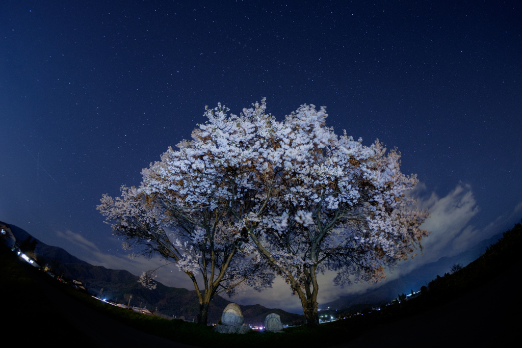 常念道祖神・桜と星空