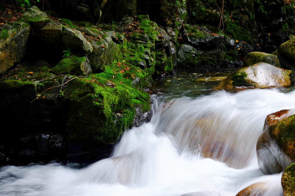 渓流の流れ