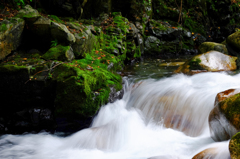 渓流の流れ