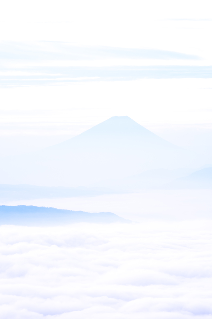 白の世界
