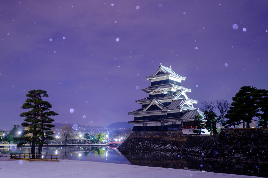 雪が舞う