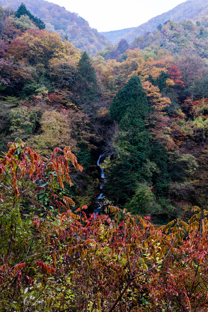 大水沢の滝