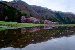 田に写る