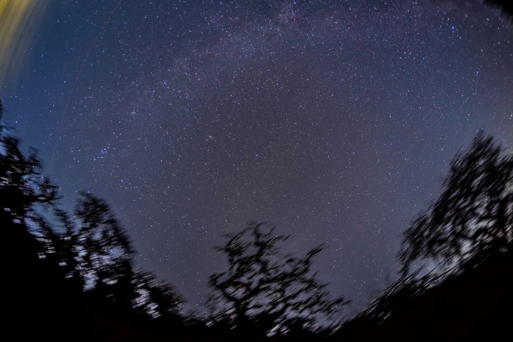 しだれ栗と星空DSS