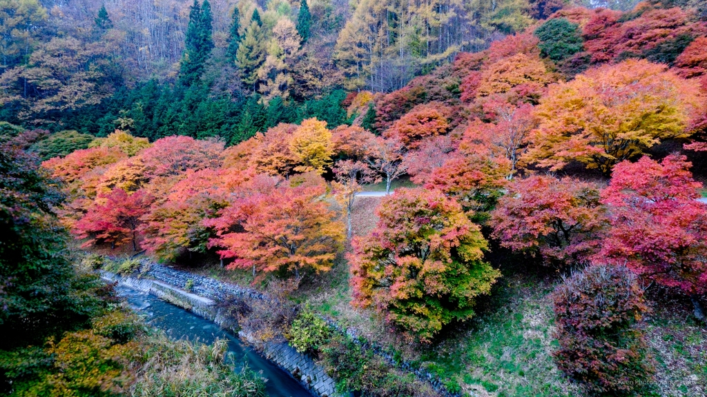 カラフル