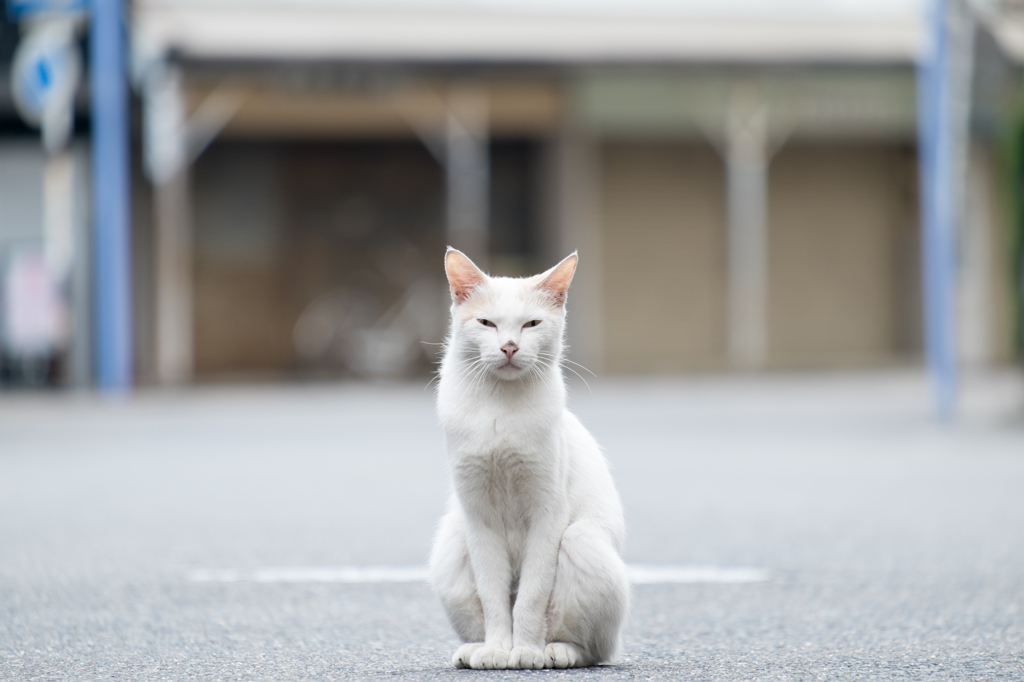 キリリ
