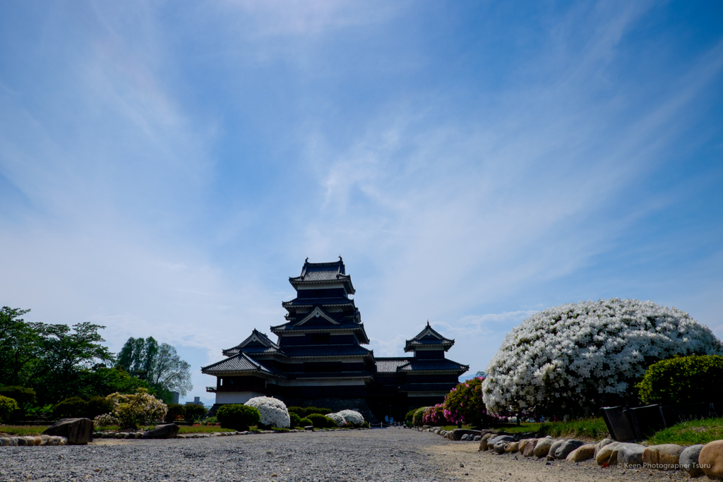 5月の松本城