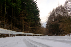 高ボッチへの道