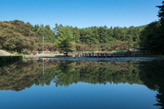室山池の秋はこれから