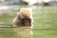 入浴中