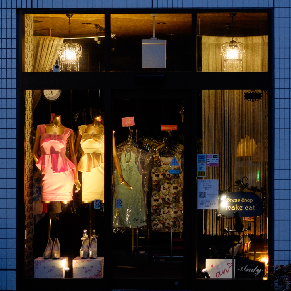 Dress Shop