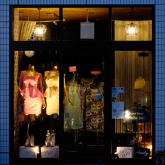 Dress Shop