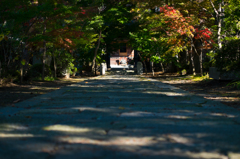 法蔵寺の秋はもう少し先